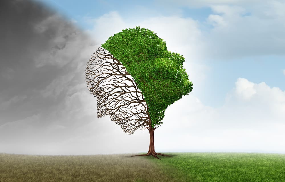 Pour représenter les différents modes de vie, ici il y a un arbre avec un visage vert et l'autre noir.